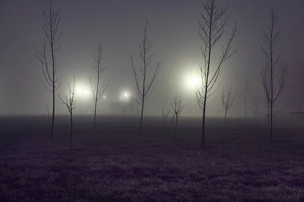 遠くのランプと夜の霧の公園 空気中の霧の寒さ — ストック写真