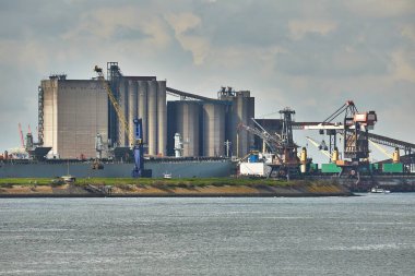 Rotterdam limanındaki toplu kargo terminalinin paslı endüstriyel yapıları, silolar ve vinçler