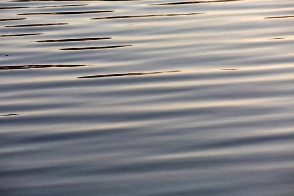 海の波紋の開いている水面 — ストック写真