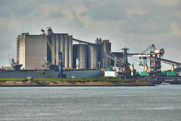 Rusty Industrial Structures Bulk Cargo Terminal Port Rotterdam Silos Cranes — Stock Photo, Image