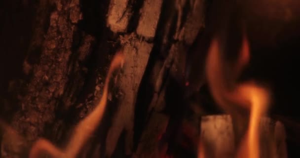 Kominek Płomienie Zbliżenie Drewnianych Kłód Ognia — Wideo stockowe