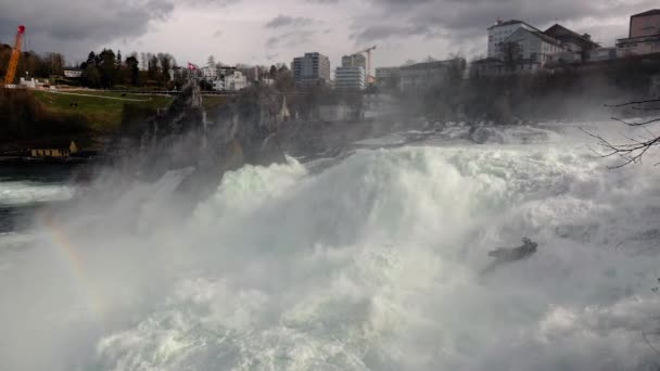 Sviçre Deki Rhine Falls Şelale Avrupa Daki Yüksek Akış Oranı — Stok video