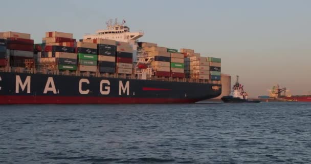Rotterdam Nederländerna Circa 2019 Enormt Containerfartyg Anländer Till Rotterdams Hamn — Stockvideo