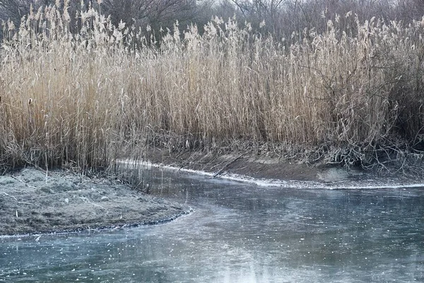Gefrorene Theiß Kanäle Mit Eis Und Schilf Winterfrost — Stockfoto