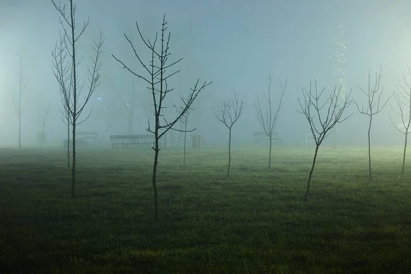 Mlhavý Park Noci Vzdálenými Lampami Mlhavý Chlad Vzduchu — Stock fotografie