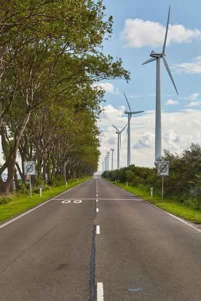 Väg Smal Landremsa Hamnområdet Rotterdam Landtong Nära Rozenburg — Stockfoto