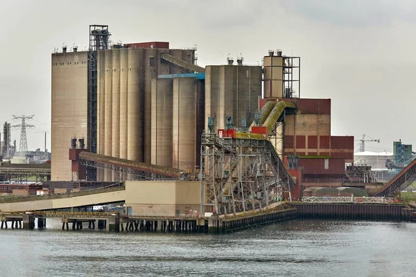 Zardzewiałe Konstrukcje Przemysłowe Terminalu Ładunków Masowych Porcie Rotterdam Silosów Dźwigów — Zdjęcie stockowe