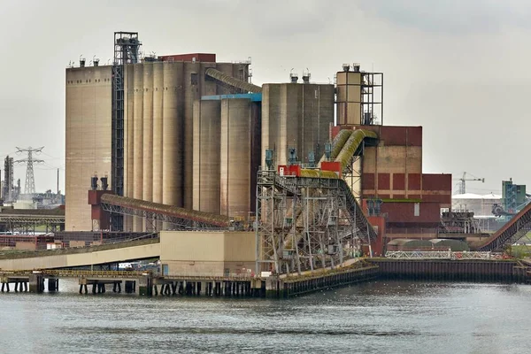 Zrezivělé Průmyslové Konstrukce Terminálu Pro Hromadný Náklad Přístavu Rotterdam Sila — Stock fotografie