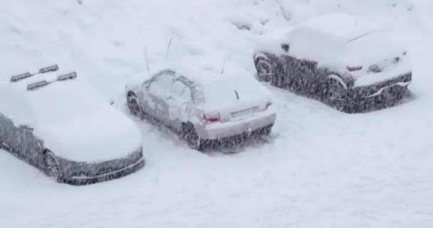 Sníh Padá Parkovací Auta Lyžařském Středisku Vozidla Jsou Pohřbena — Stock video