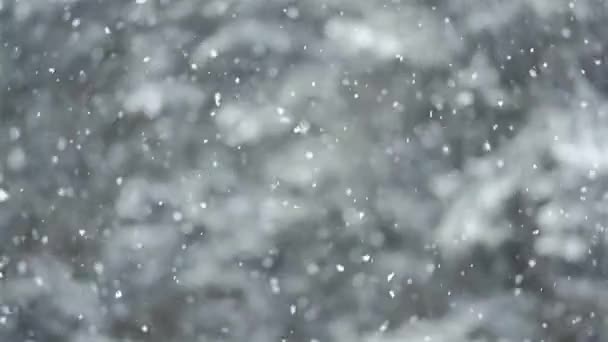 Padající Sníh Lese Vločky Detailní Záběr Zpomalený Pohyb 120 Fps — Stock video