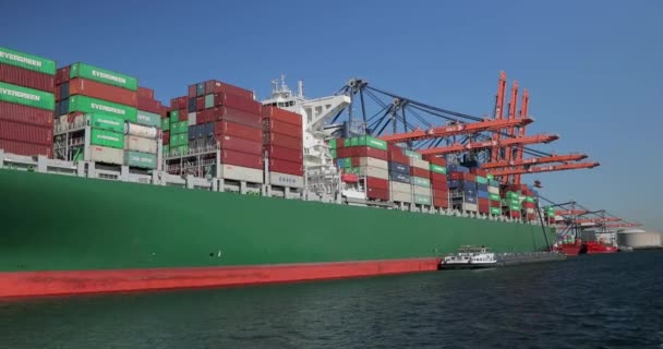 Roterdão Países Baixos Circa 2019 Contentores Carregados Num Enorme Navio — Vídeo de Stock