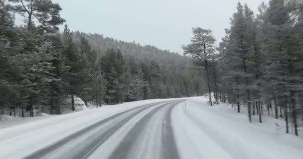 Finlandiya Nın Laponya Nın Karlı Kış Yollarında Çam Ağaçlarıyla Dolu — Stok video