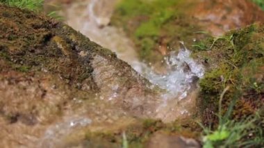 Küçük dağ akıntısı 120 fps 'den yavaş çekim, su sıçratıyor.