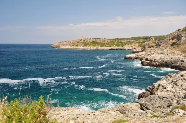 Coastine krajobraz w salento, apulia. Włochy Obrazy Stockowe bez tantiem