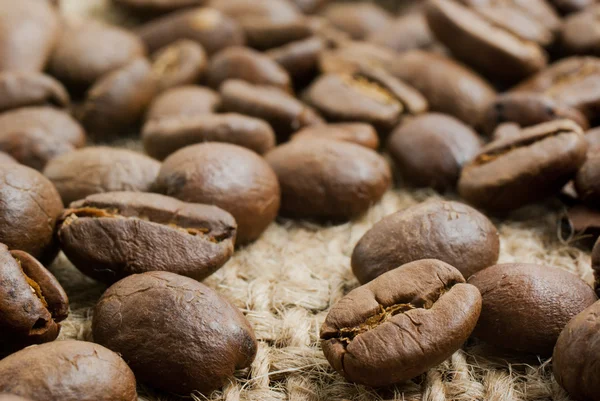 Какао-бобы - крупным планом — стоковое фото