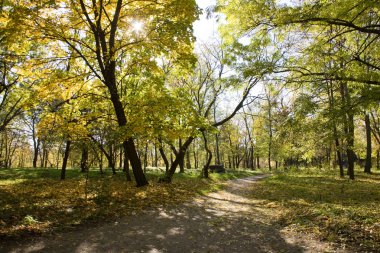 park manzarası. Sonbahar.