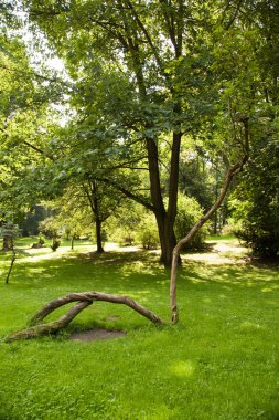 Парки и скверы Львова