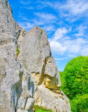 Karpat Dağları taşları