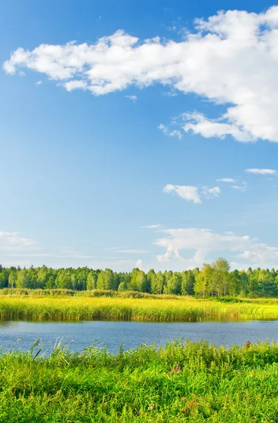 Jezioro z roślinnością — Zdjęcie stockowe