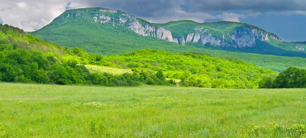 Montagna e prato verde — Foto Stock