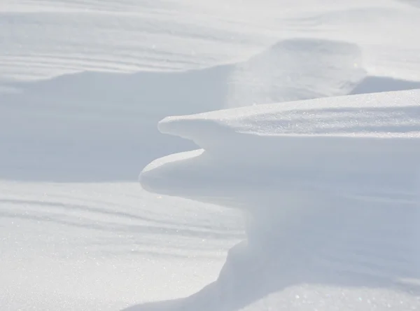 Besneeuwde wildernis — Stockfoto