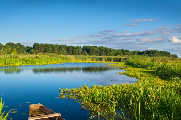 Floden i sommartid. naturen landskap — Stockfoto