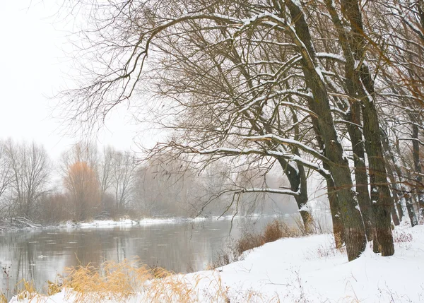 Fiume invernale e alberi nella stagione invernale — Foto Stock