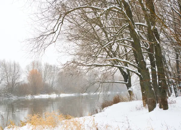 Fiume invernale e alberi nella stagione invernale Foto Stock Royalty Free