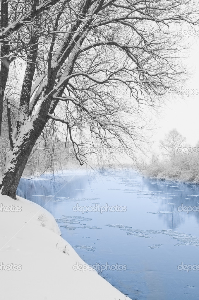 River and tree covered with snow