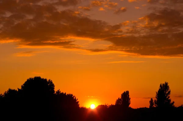 Raios do pôr do sol através das árvores — Fotografia de Stock