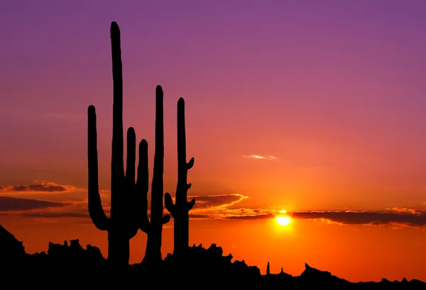 Pôr do sol no desfiladeiro mexicano — Fotografia de Stock