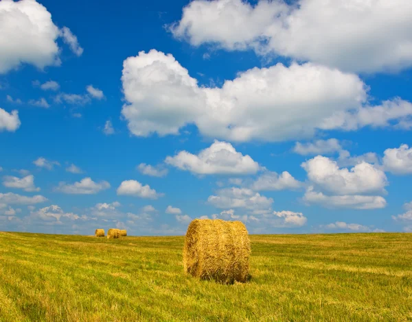 Fasci di paglia in campo dopo il raccolto — Foto Stock