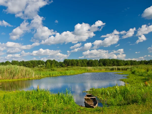 Río en verano. Naturaleza paisaje Imágenes de stock libres de derechos