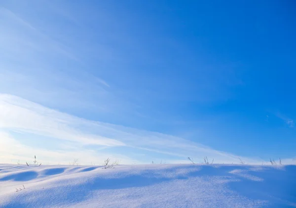 Paesaggio invernale — Foto Stock