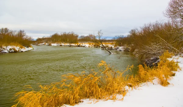 Forte vento sul fiume invernale — Foto Stock