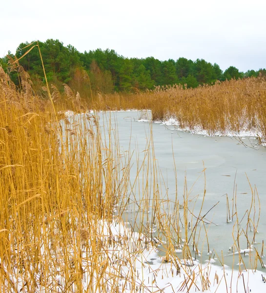 Frossen flod efter stærk frost - Stock-foto