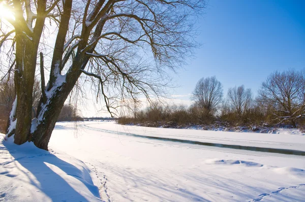 Zamrzlé řeky a strom pokrytý sněhem — Stock fotografie