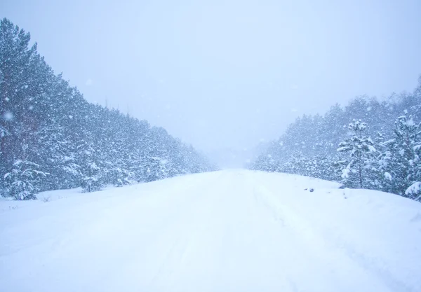 Kraftigt snöfall i vägen — Stockfoto
