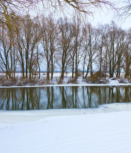 Zamrzlé řeky a stromy v zimní sezóně — Stock fotografie