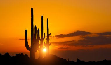 Sunset in mexican canyon  clipart