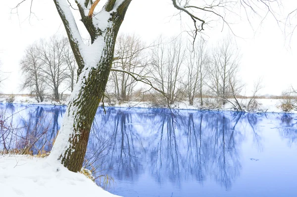 Fluss und Baum mit Schnee bedeckt — Stockfoto