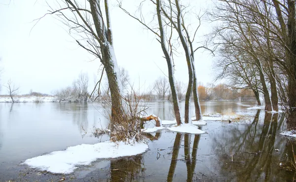 Río y árbol cubierto de nieve —  Fotos de Stock