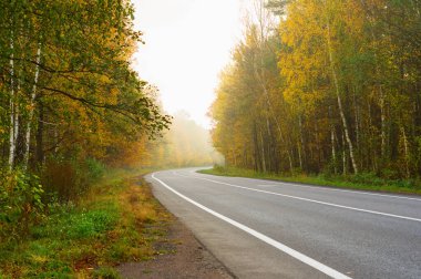 Siste yol. Ormanda sonbahar zamanı