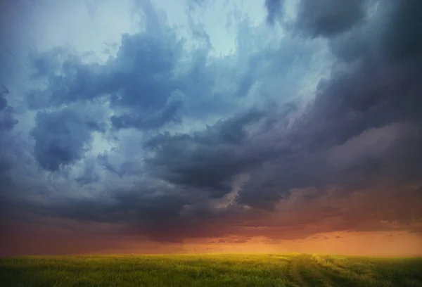 Zonsondergang over het veld — Stockfoto