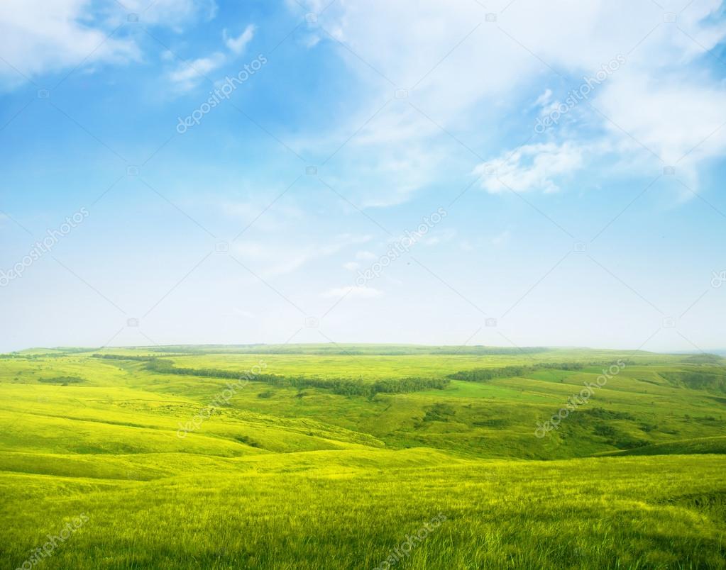 Serene hilly meadow