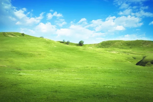 Fält av gräs och perfekt blå himmel — Stockfoto