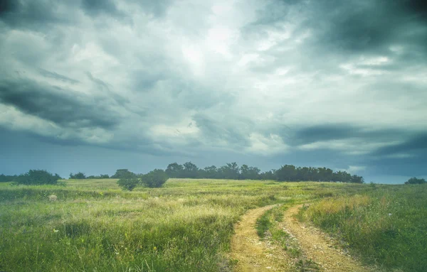 Paysage estival avec herbe verte, route et nuages — Photo