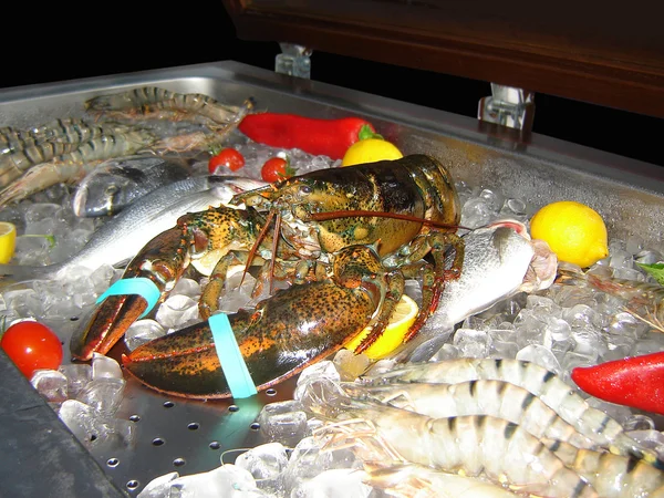 Fruits de mer — Photo