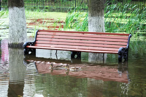 Die Überflutung des Sees — Stockfoto