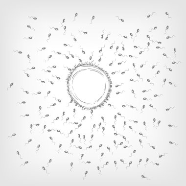 sperm kavramı